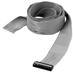 Parallel I/O cable, 2m, for FH series only